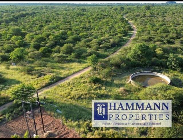 FARM FOR SALE IN MUSINA